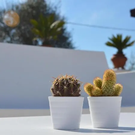 Le Terrazze Sorrento