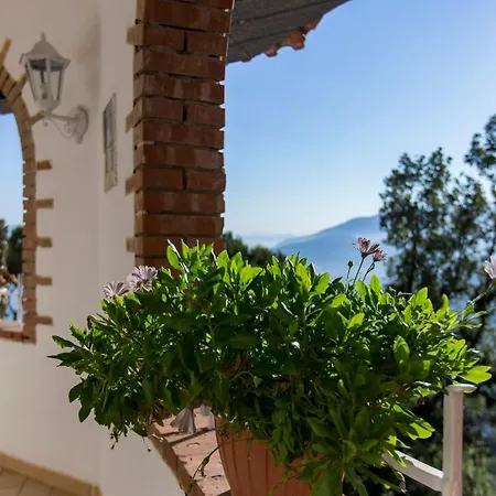 Le Terrazze Sorrento