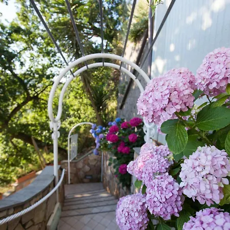 Le Terrazze Aparthotel Sorrento